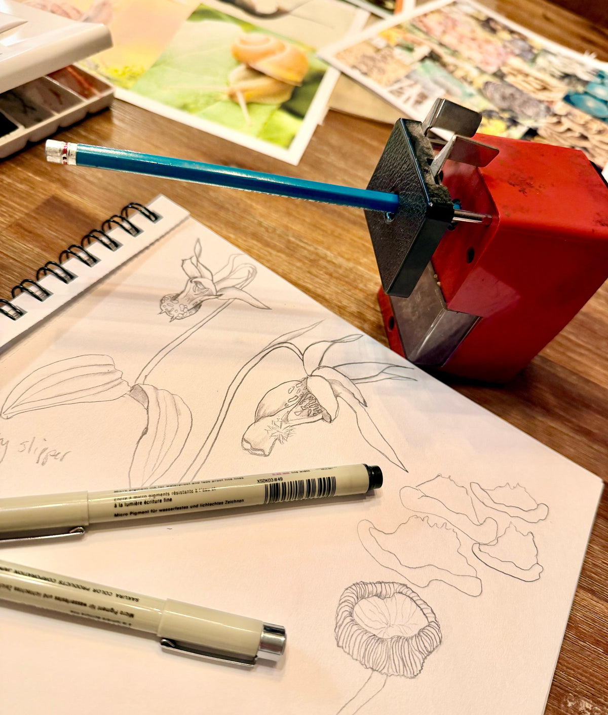 Nature sketch pencil sharpener